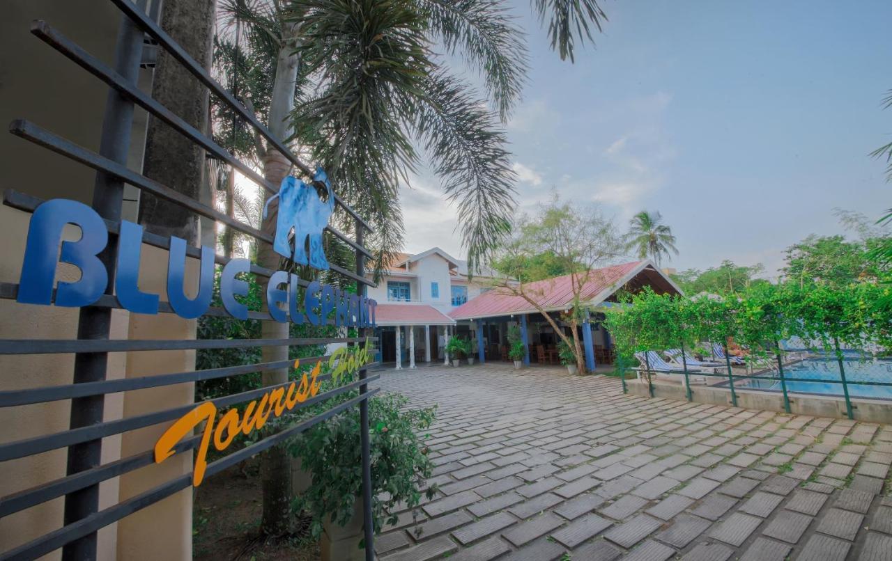Blue Elephant Boutique Hotel Negombo Exterior foto